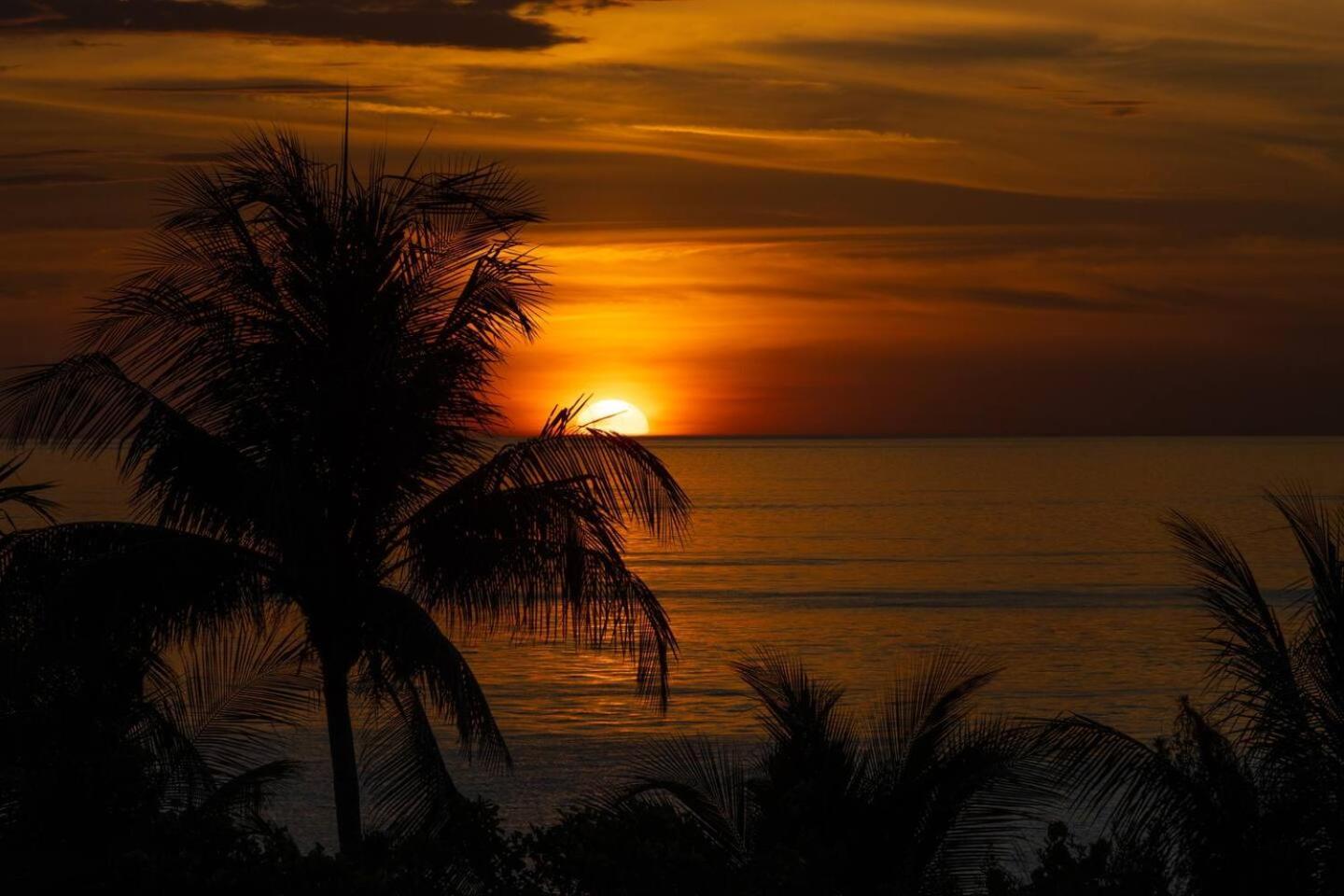 Hermoso Departamento Con Vista Al Mar Isla Holbox Dış mekan fotoğraf